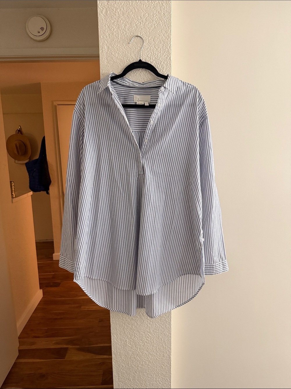Anthropologie Blue and White Striped Shirt